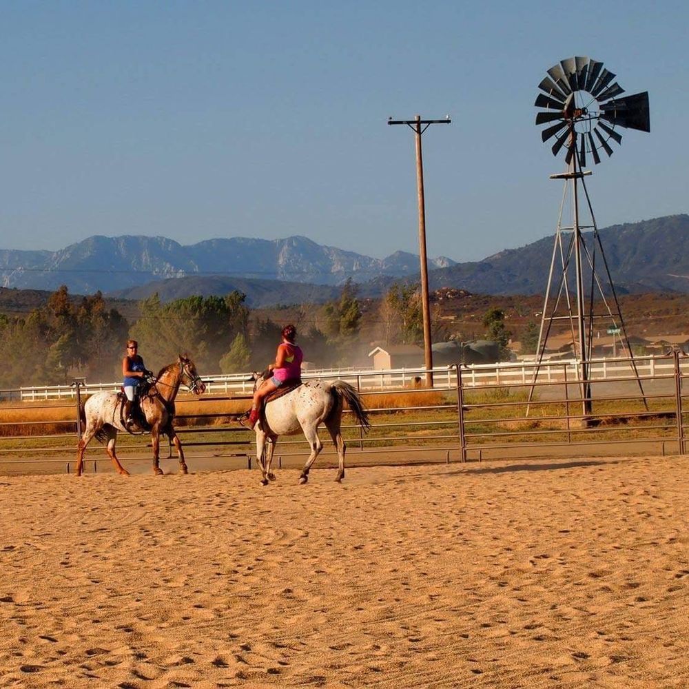 Meet your Posher, Raychel